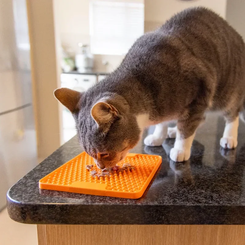 Lickimat® MINI Classique – Tapis de léchage pour chiens et chats