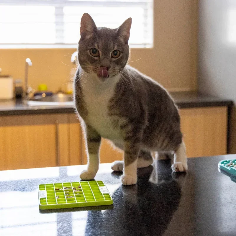 Lickimat® MINI Classique – Tapis de léchage pour chiens et chats