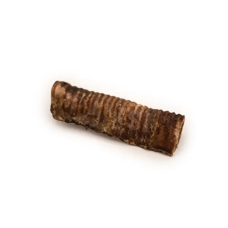 Trachée de boeuf chien 20cm – Mastication gourmande pour chiens