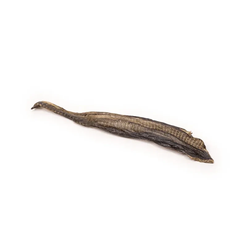 Lanières de peau de poisson chat – Mastication gourmande pour petits chiens et chiots