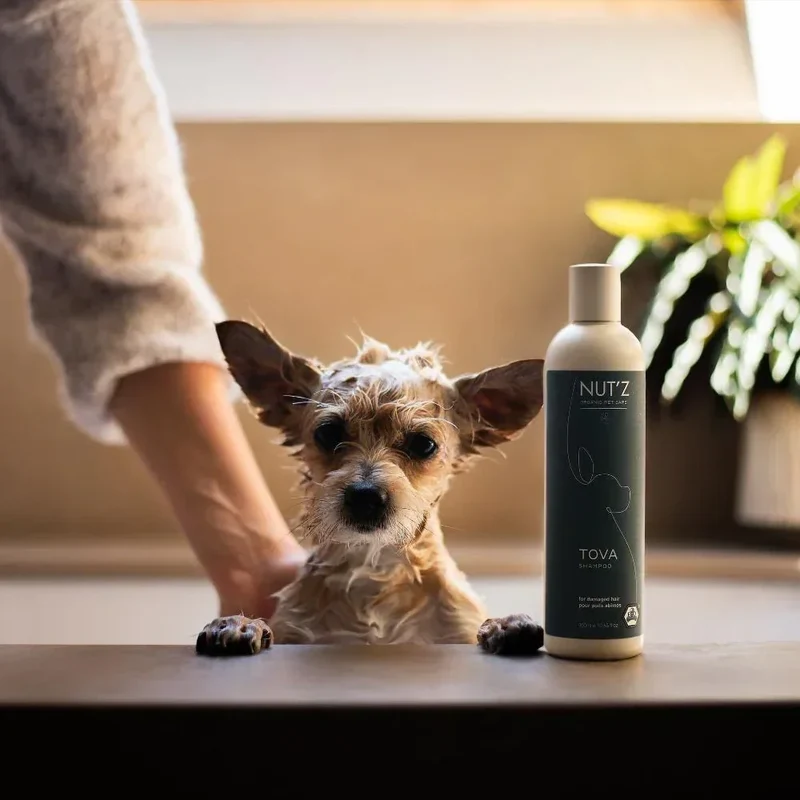 Shampoings pour chiens et chats – Nut'z – 300mL