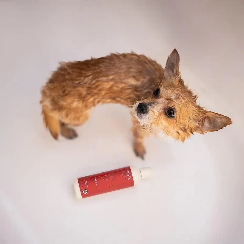 Soin démêlant pour chiens – Nut'z – 300mL