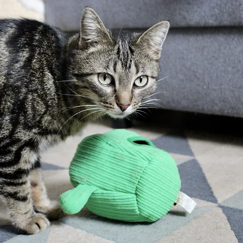 Peluche de flair Cactus et serpents 🌵🐍 - Jouet d'occupation pour chat 🐱 - ZippyClaws® Burrow™
