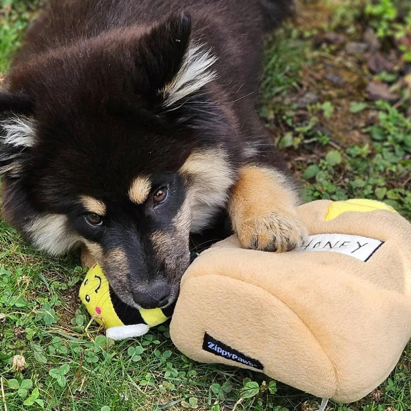 Peluche de flair Pot à miel 🍯🐝 - Jouet d'occupation pour chien – ZippyPaws® Burrow™