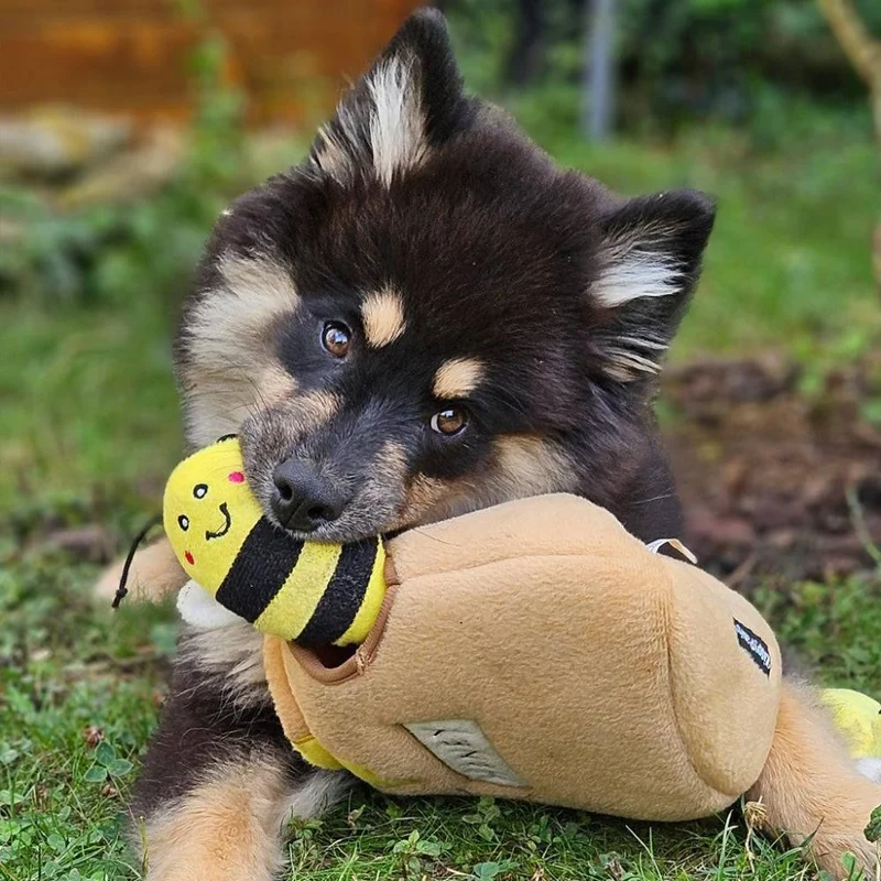 Peluche de flair Pot à miel 🍯🐝 - Jouet d'occupation pour chien – ZippyPaws® Burrow™