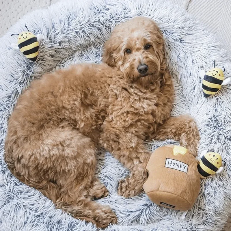 Peluche de flair Pot à miel 🍯🐝 - Jouet d'occupation pour chien – ZippyPaws® Burrow™