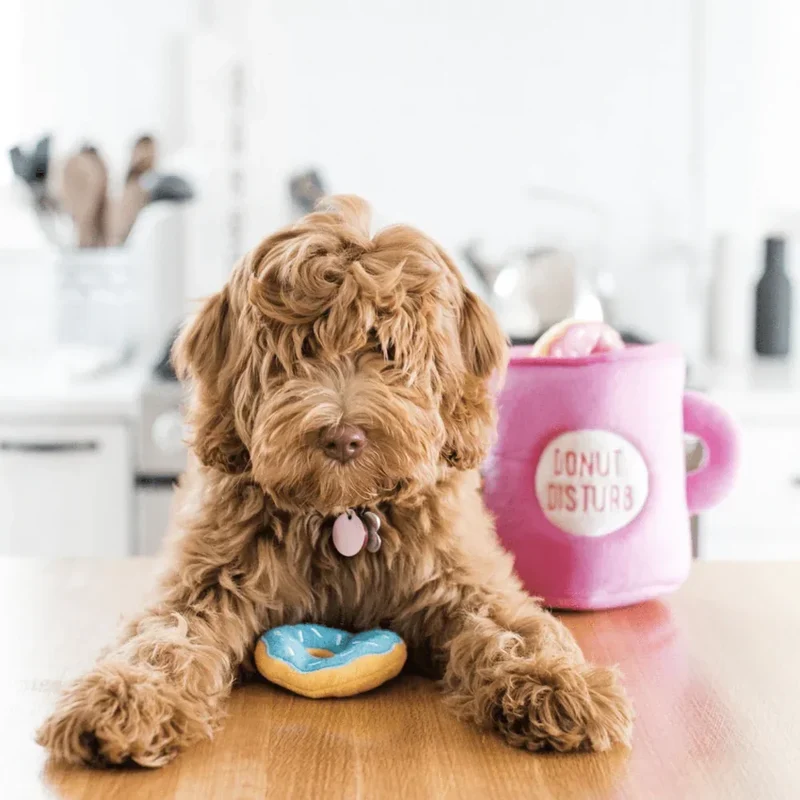 Peluche de flair Coffee & Donutz 🍩 - Jouet d'occupation pour chien – ZippyPaws® Burrow™