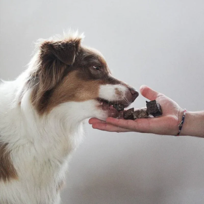 Cubes de poumon de cerf – Friandises pour chiens