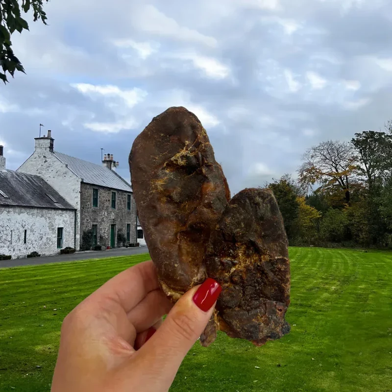 Bourses de taureau – Gourmandise à mâcher pour chiens – 2 pièces