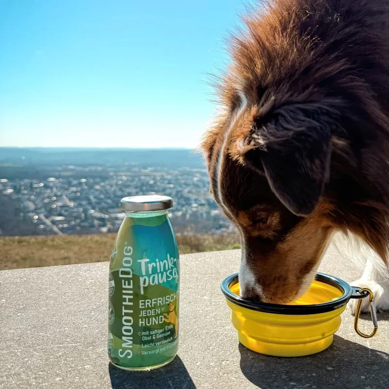 Gamelle pliable en silicone – 450mL – SmoothieDog