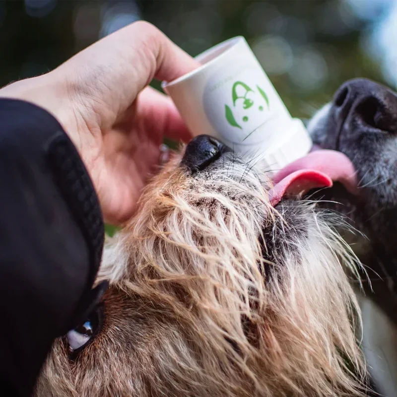 DoggyPumper – Distributeur poussoir à friandises pour chiens et chats