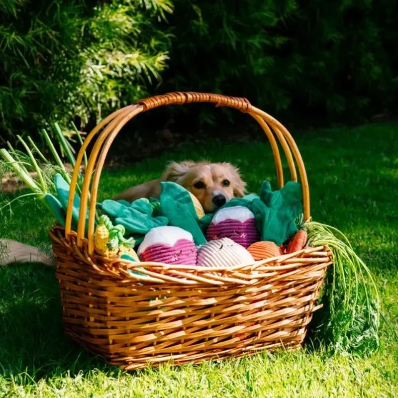 Crinkle Crops Maïs – Peluche pour chien Zippy Paws
