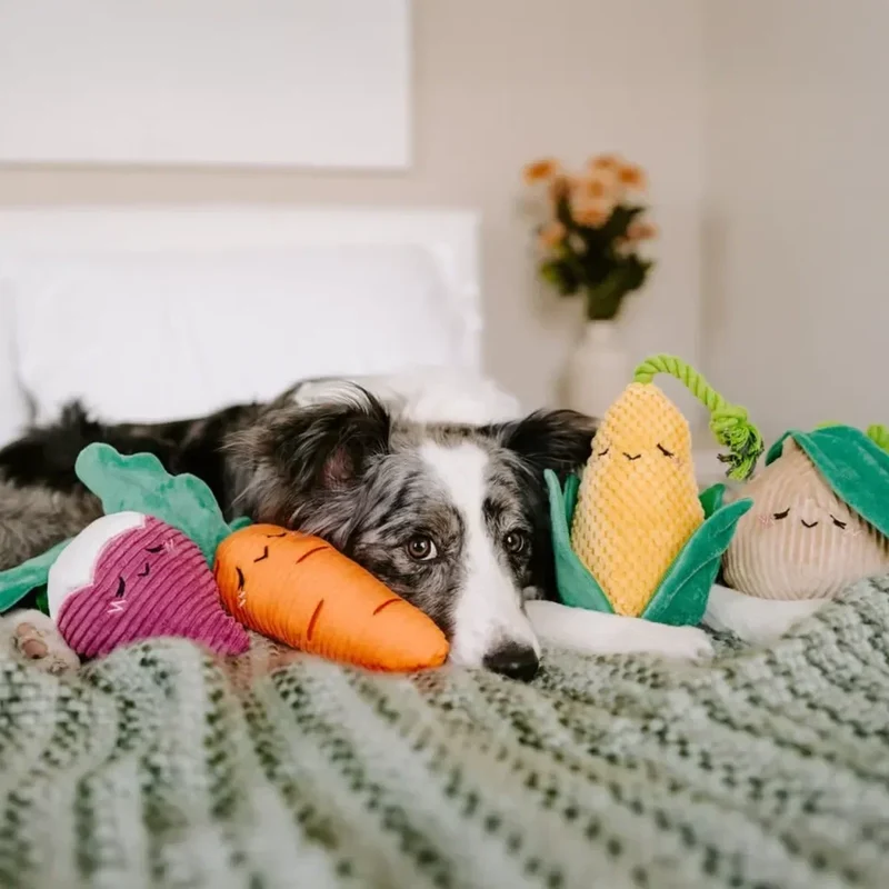 Crinkle Crops Carotte – Peluche pour chien Zippy Paws