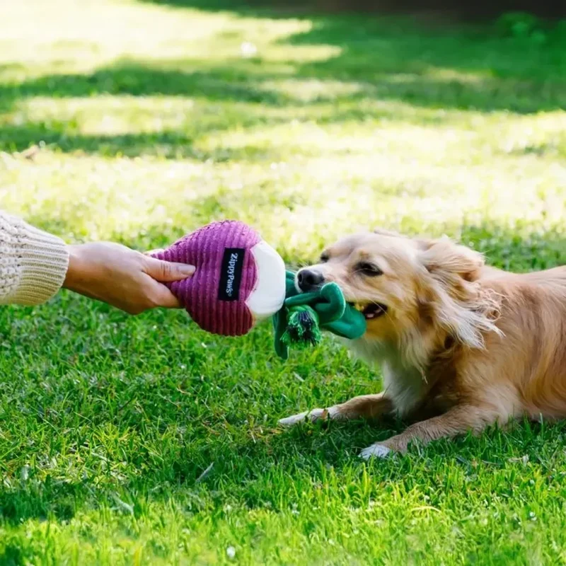 Crinkle Crops Radis – Peluche pour chien Zippy Paws