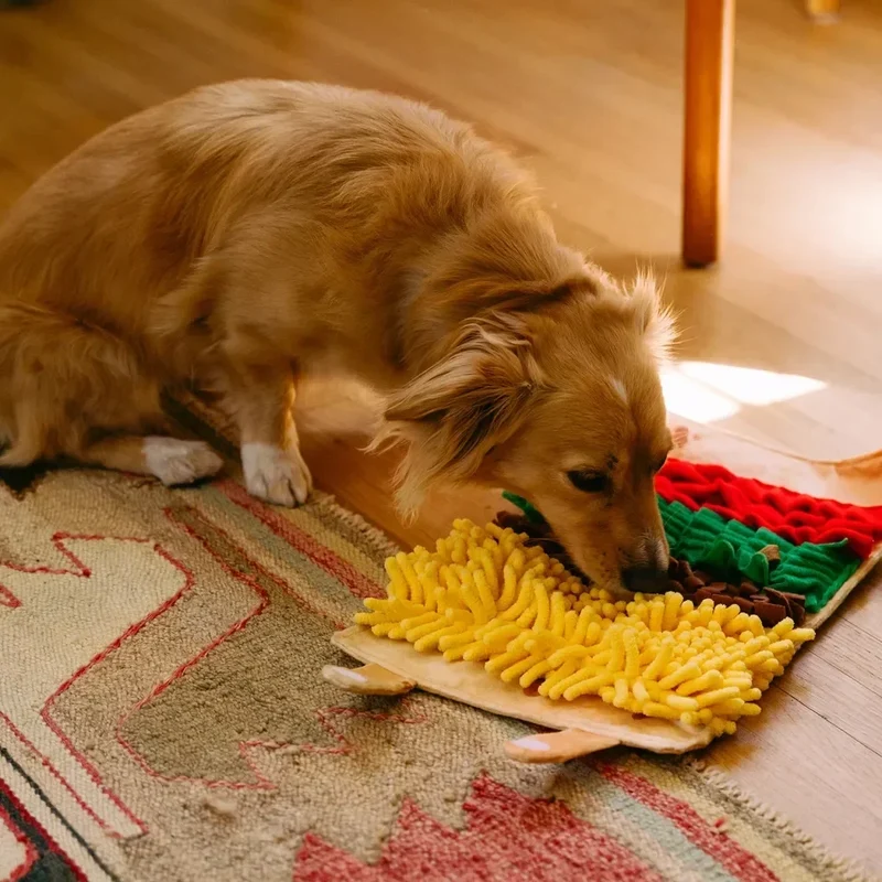 Snufflerz Roll Burrito Zippypaws : le mini tapis de fouille pour chien