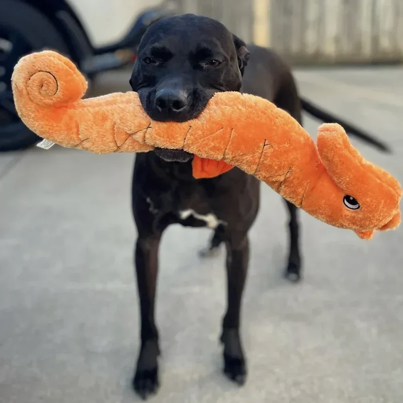 Peluche Hippocampe – Peluche XXL pour chien – Jigglerz® Seahorse 🧡