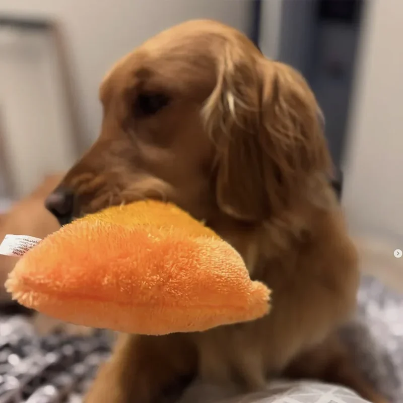 Peluche Hippocampe – Peluche XXL pour chien – Jigglerz® Seahorse 🧡
