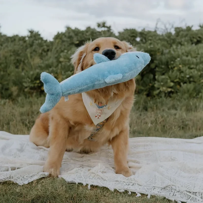 Peluche Dauphin – Peluche XXL pour chien – Jigglerz® Dolphin 🐬