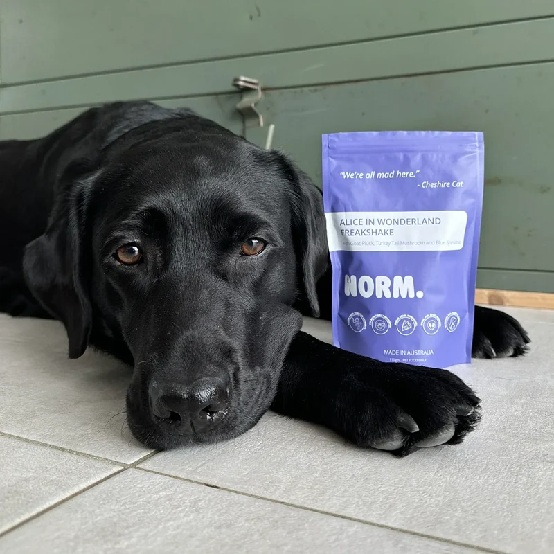 Shakes viande & superaliments lyophilisés pour chiens et chats – Norm – 110g