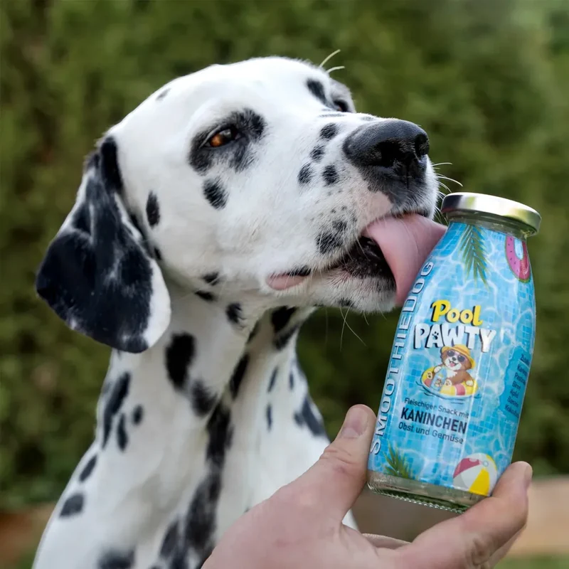 Smoothie pour chiens – Pina Paw Lada – 250mL