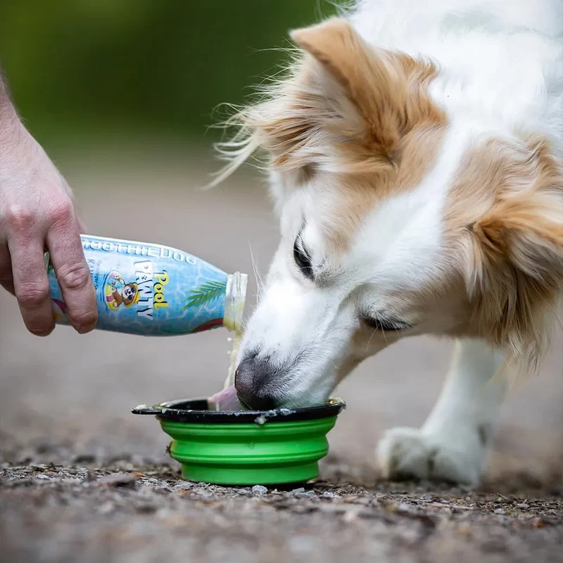 Smoothie pour chiens – Pina Paw Lada – 250mL