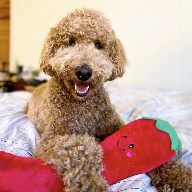 Peluche Piment – Peluche XXL pour chien – Jigglerz® Pepper 🌶️