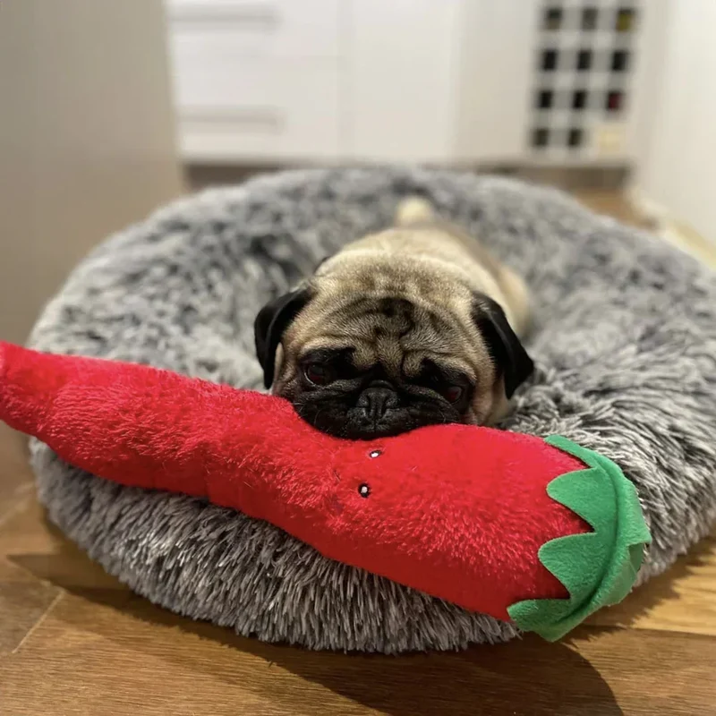 Peluche Piment – Peluche XXL pour chien – Jigglerz® Pepper 🌶️
