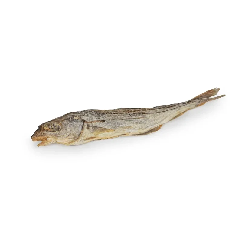 Eglefin – Mastication gourmande pour chiens