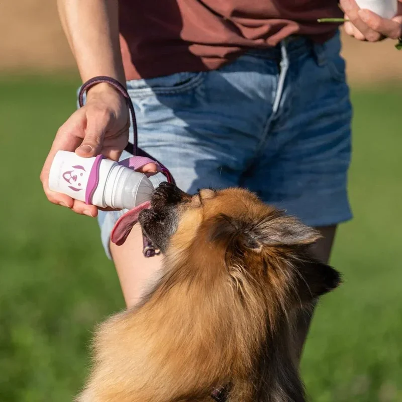 DoggyRoller – Distributeur à bille de friandises liquides pour chiens