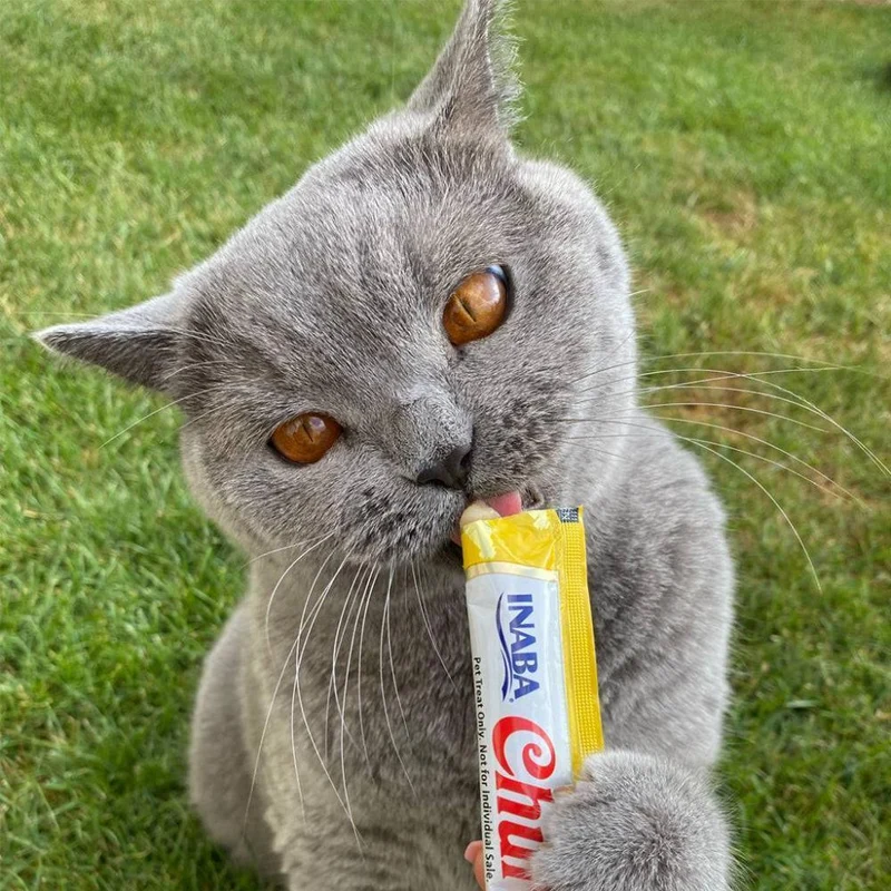 Churu Poulet & Fromage – Sticks crémeux pour chat – 4 tubes de 14g
