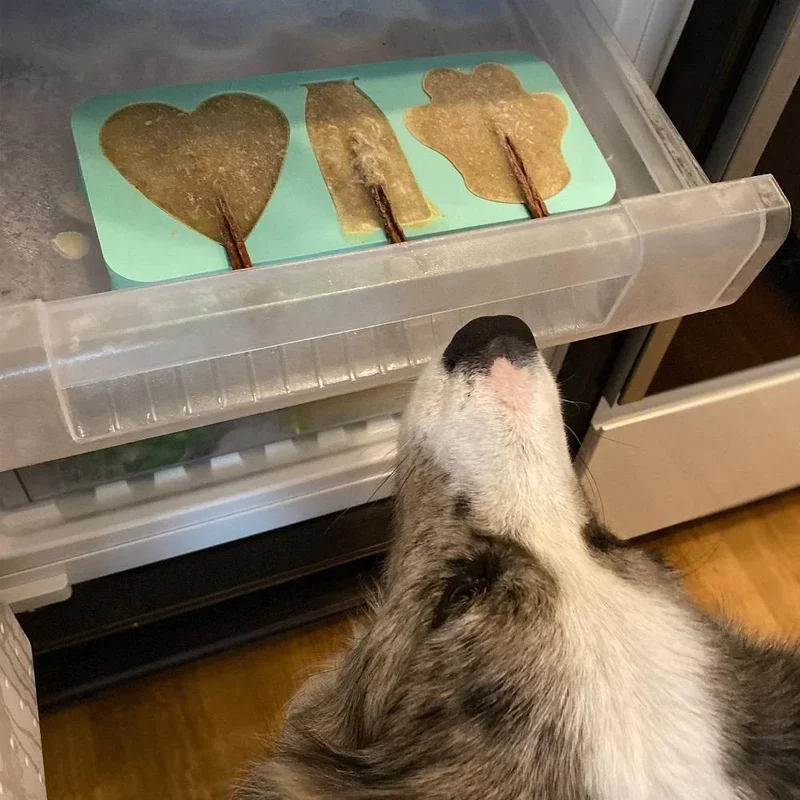 Moule à glace Smoothie Dog