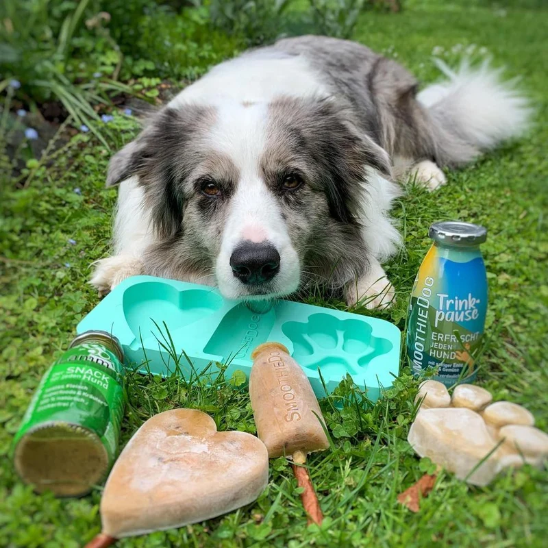 Moule à glace Smoothie Dog