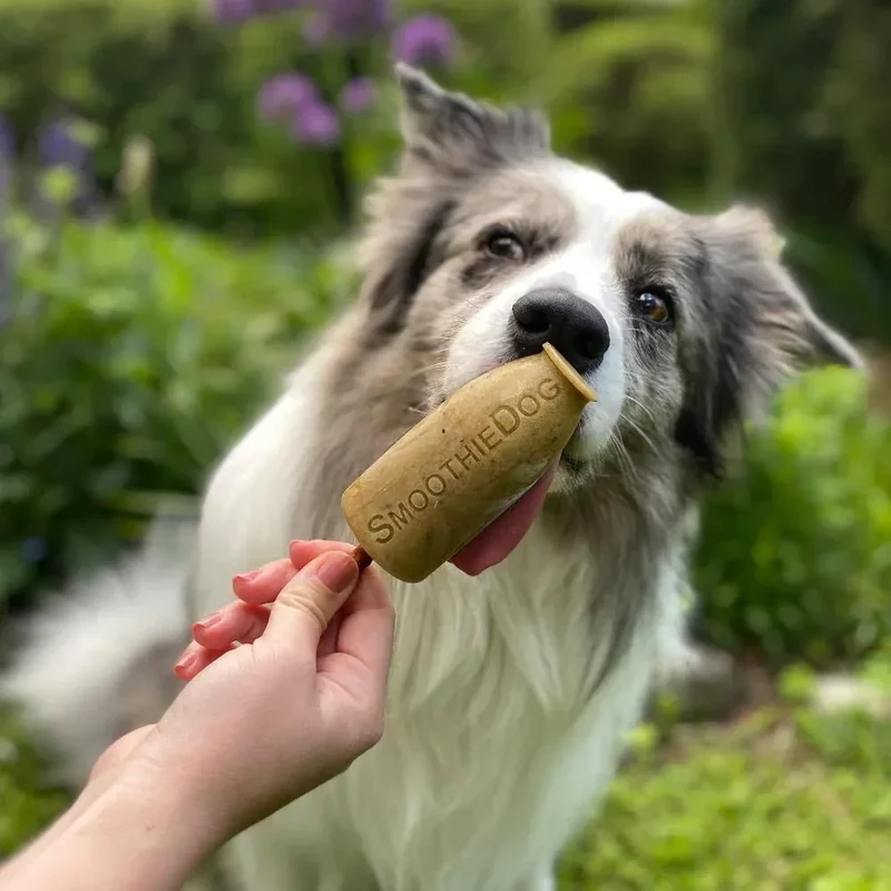 Moule à glace Smoothie Dog