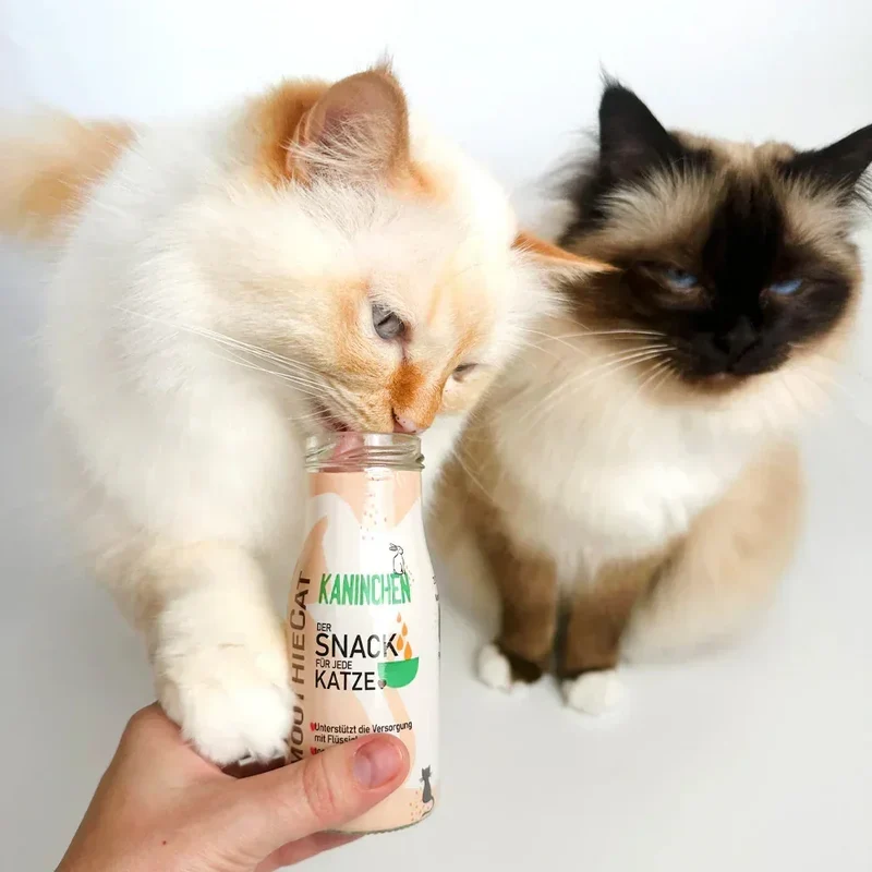 Smoothie pour chat – Plusieurs saveurs disponibles – 150mL