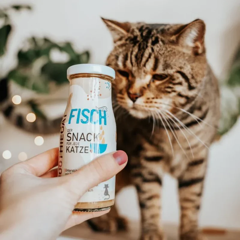 Smoothie pour chat – Plusieurs saveurs disponibles – 150mL