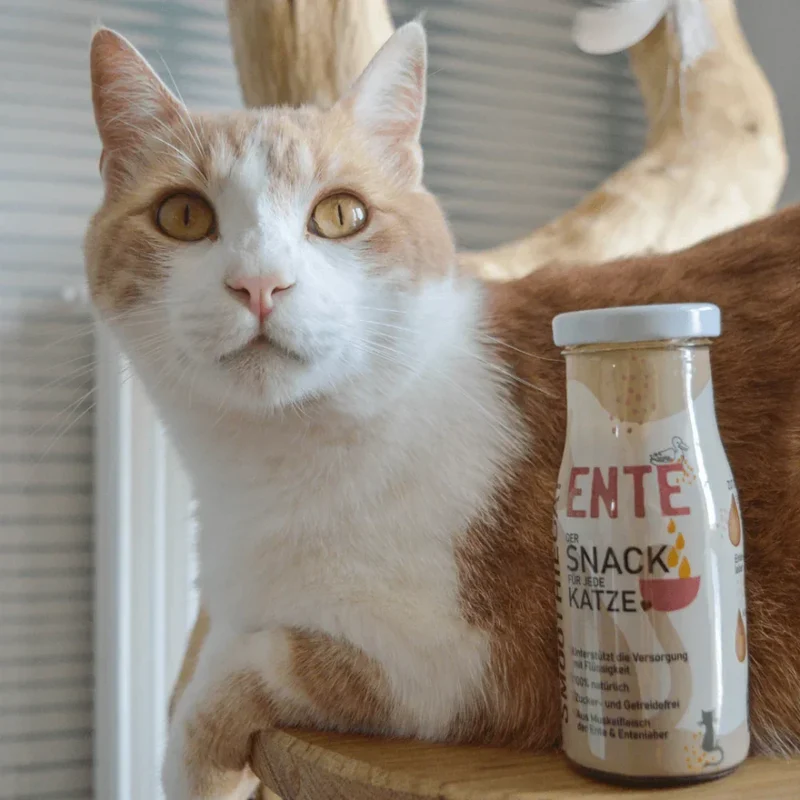 Smoothie pour chat – Plusieurs saveurs disponibles – 150mL