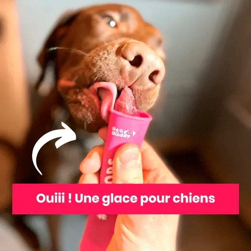 Ice Pops pour glace DIY