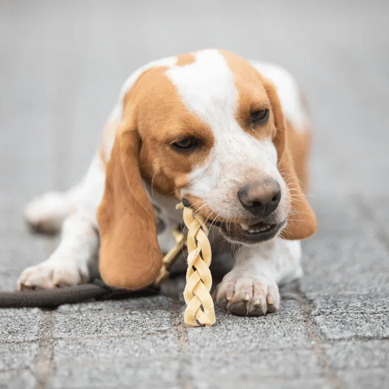 Tresses de bison – Mini mastication gourmande pour chiens