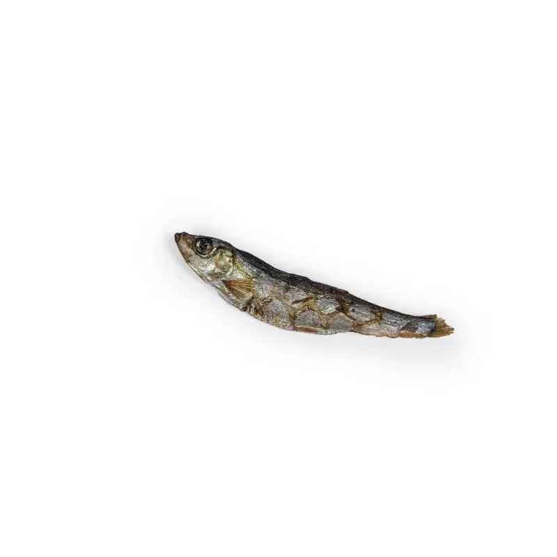 Sprats – Friandise naturelle pour chiens et chats