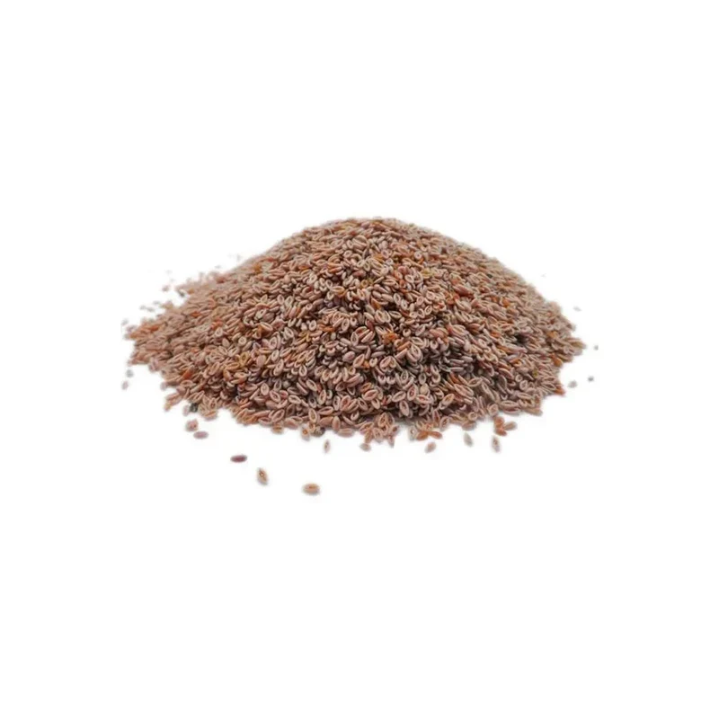 Psyllium blond biologique en graines – 300g