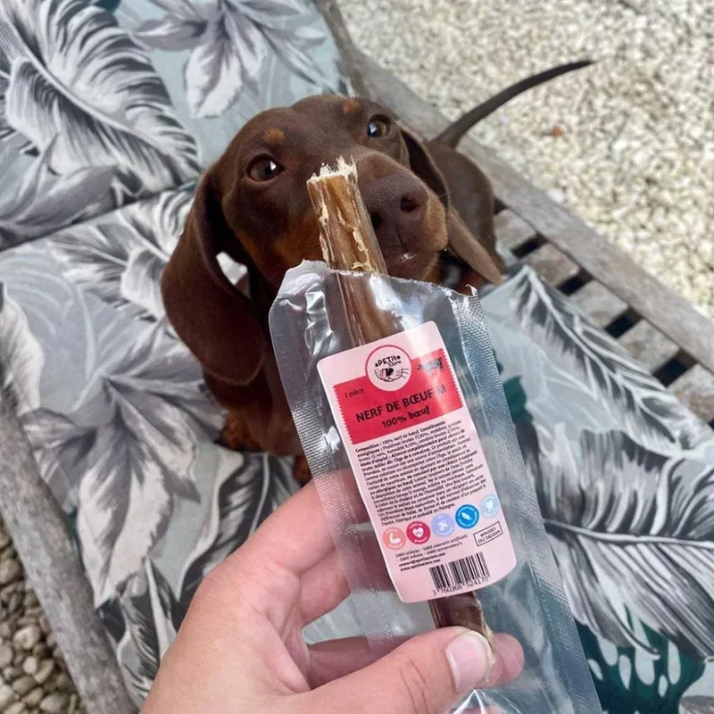 Nerf de boeuf – Mastication gourmande pour chiens