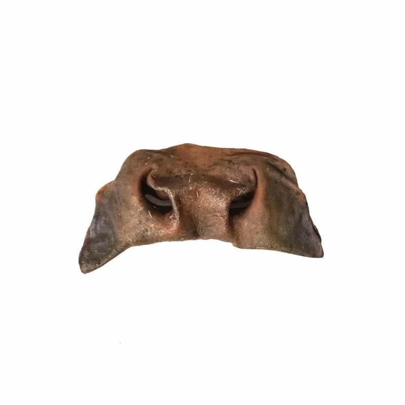 Museau de boeuf – Mastication gourmande XXL pour chiens – 2 pièces
