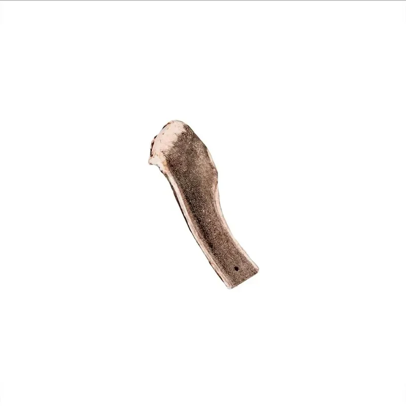Bois de cerf tranché – Mastication longue pour chiens