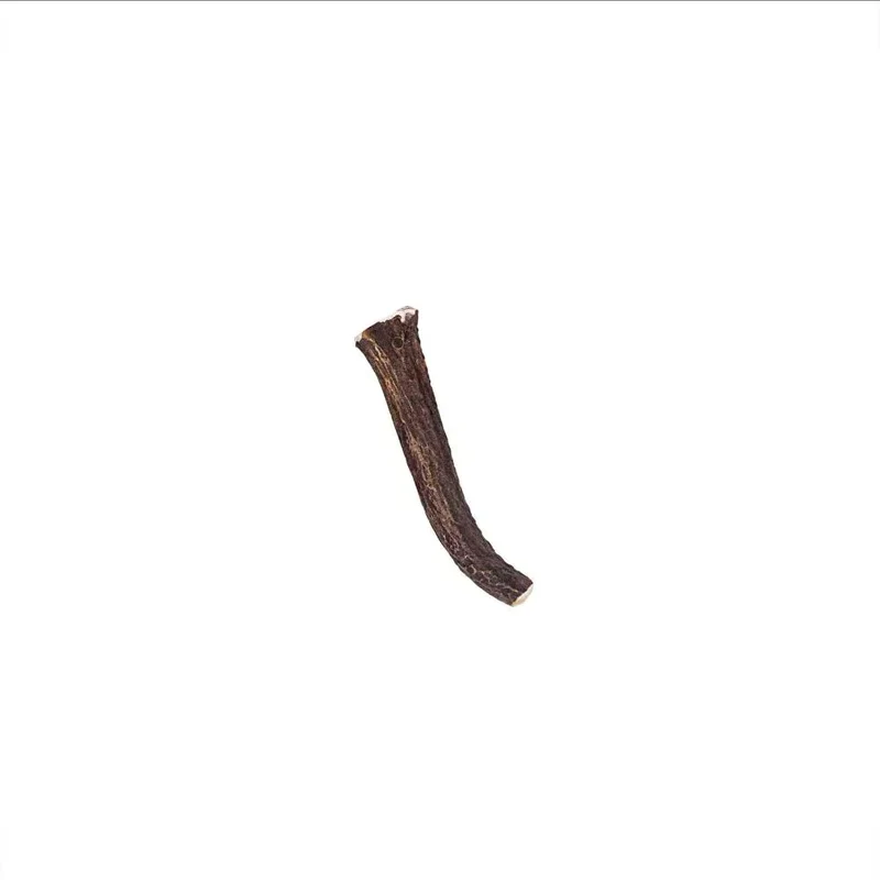 Bois de cerf entier – Mastication longue pour chiens