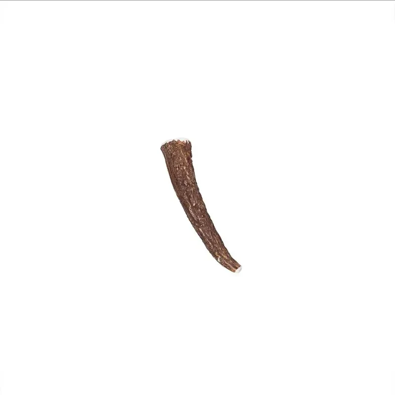 Bois de cerf entier – Mastication longue pour chiens