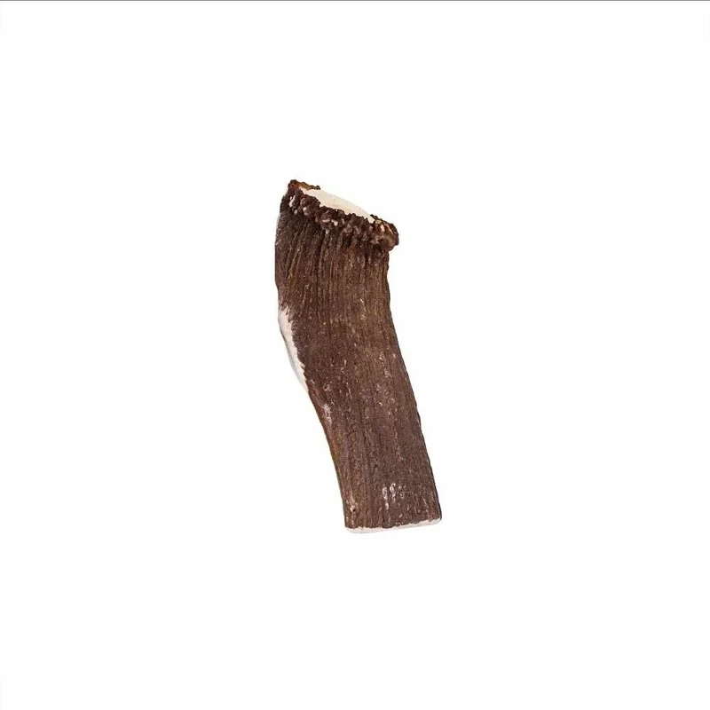 Bois de cerf entier – Mastication longue pour chiens