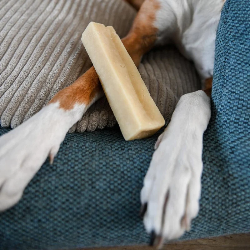 Cheese bone – Mastication gourmande pour chien – Barre au fromage