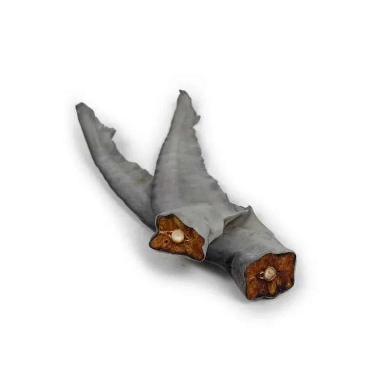 Queue de requin – Mastication gourmande XL pour chiens – 5 pièces