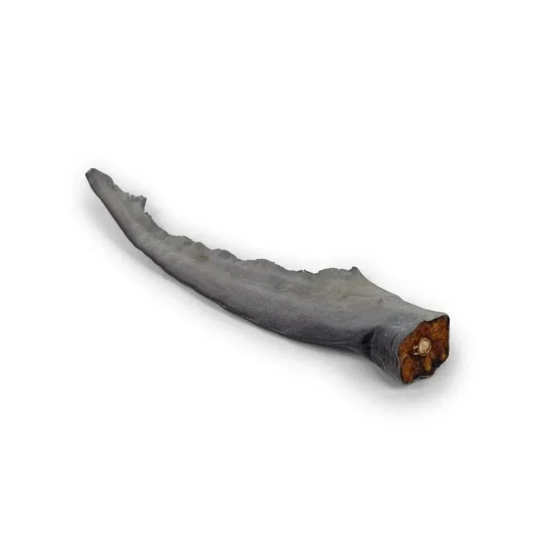 Queue de requin – Mastication gourmande XL pour chiens – 5 pièces