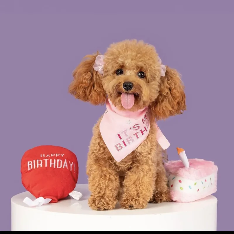 Coffret anniversaire pour chien – ZippyPaws